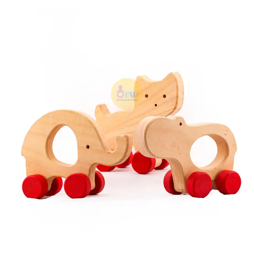 Wooden Push and Pull Toddler Toy – Made from Neem Tree (Combo Set of 3)